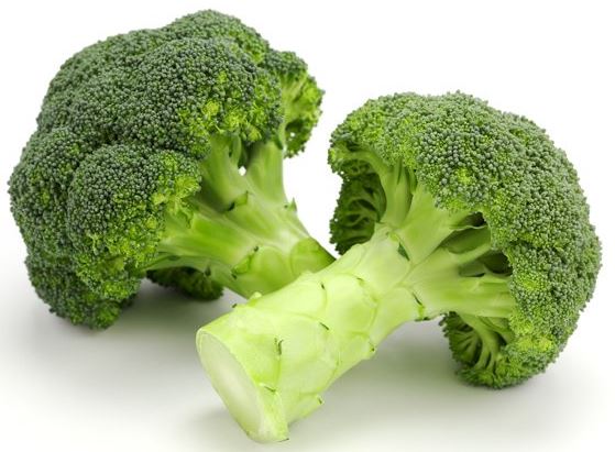 Raw material of Broccoli powder Raw material of Broccoli powder