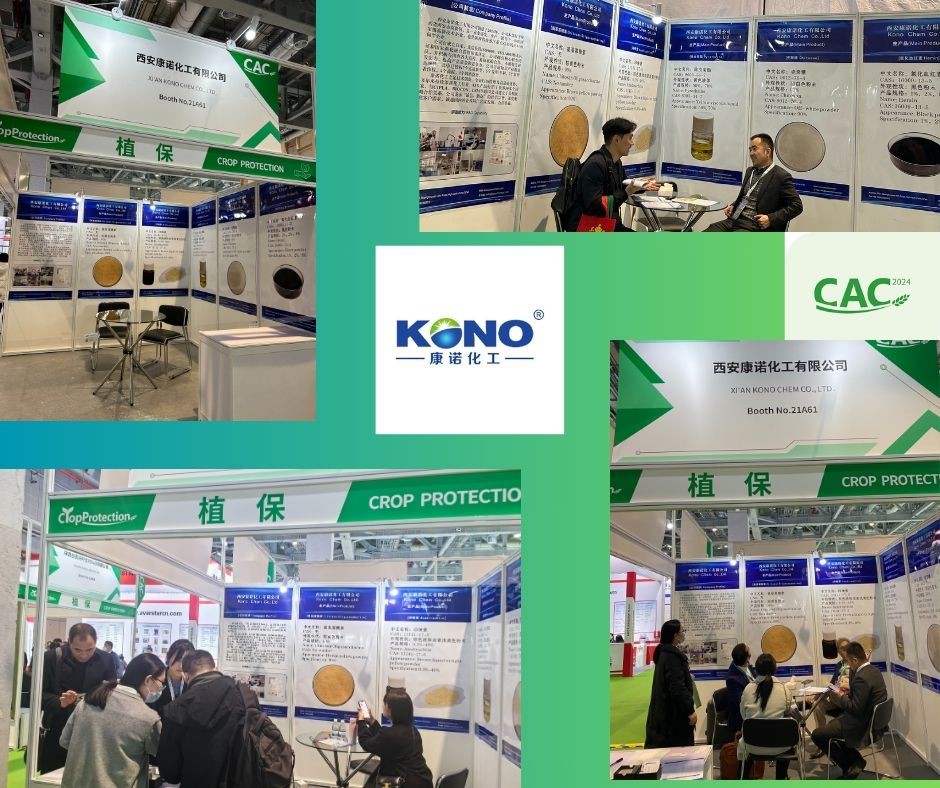 news-940-788 news-940-788